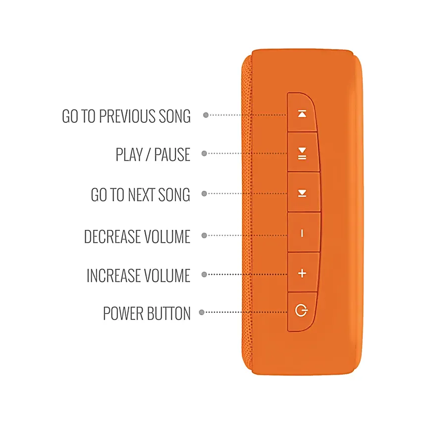 Saregama Carvaan Mini Bhakti  Devotional