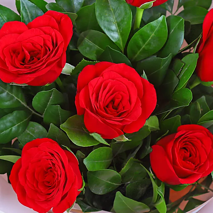 Satin Scarlet Affection
