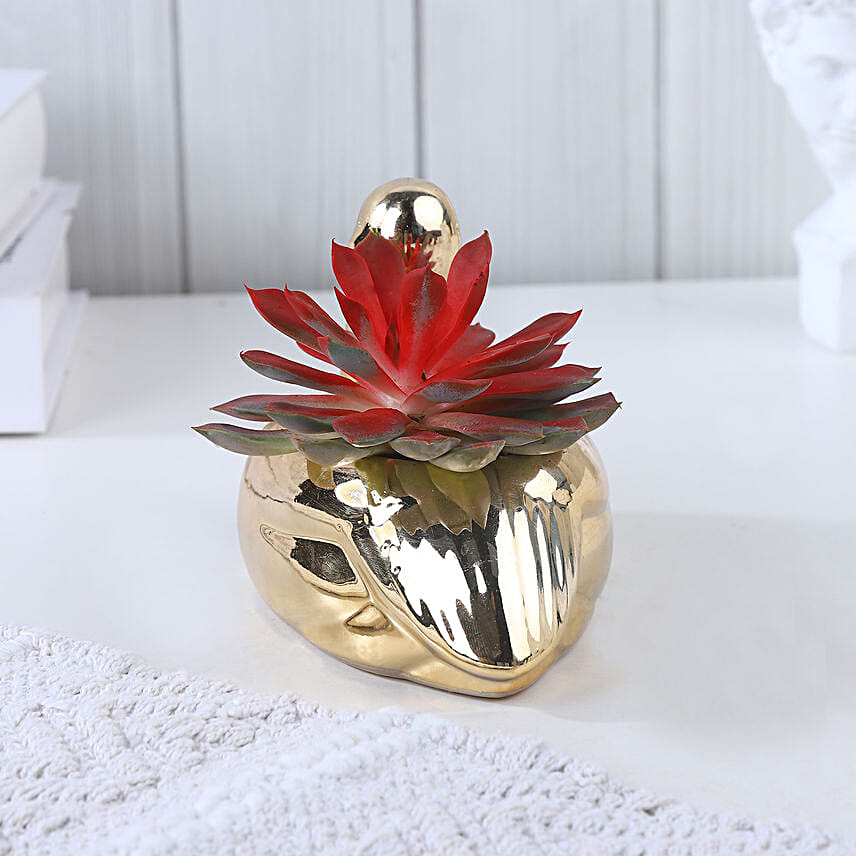 Scarlet Swan Echeveria Elegance