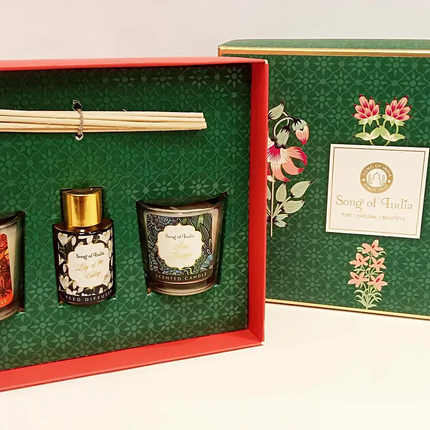 Sea Green Reed Diffuser Kit