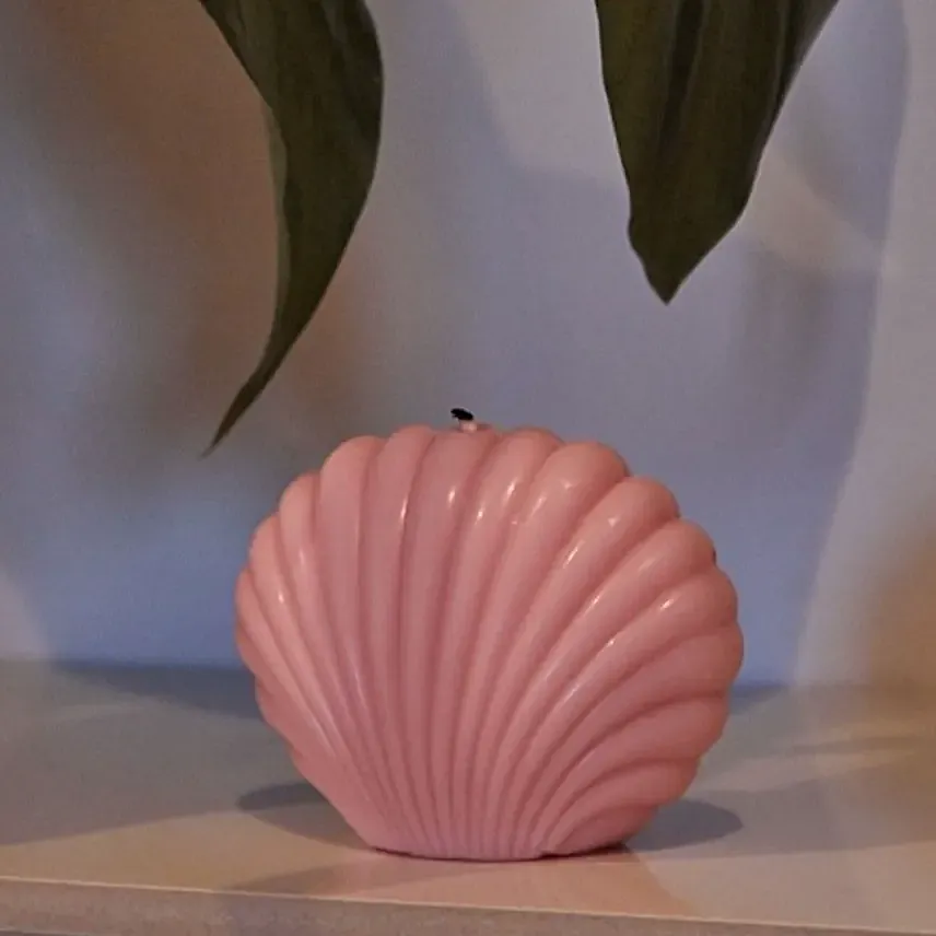 Seashell Candle Pink