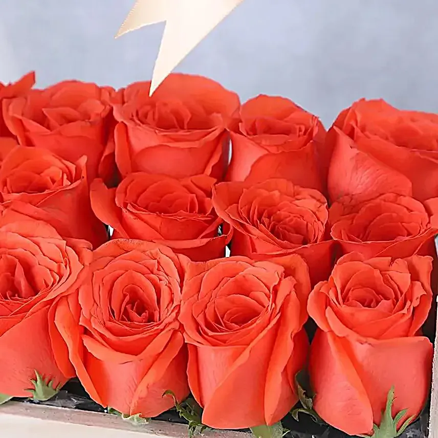 Serenade of Rose Bloom