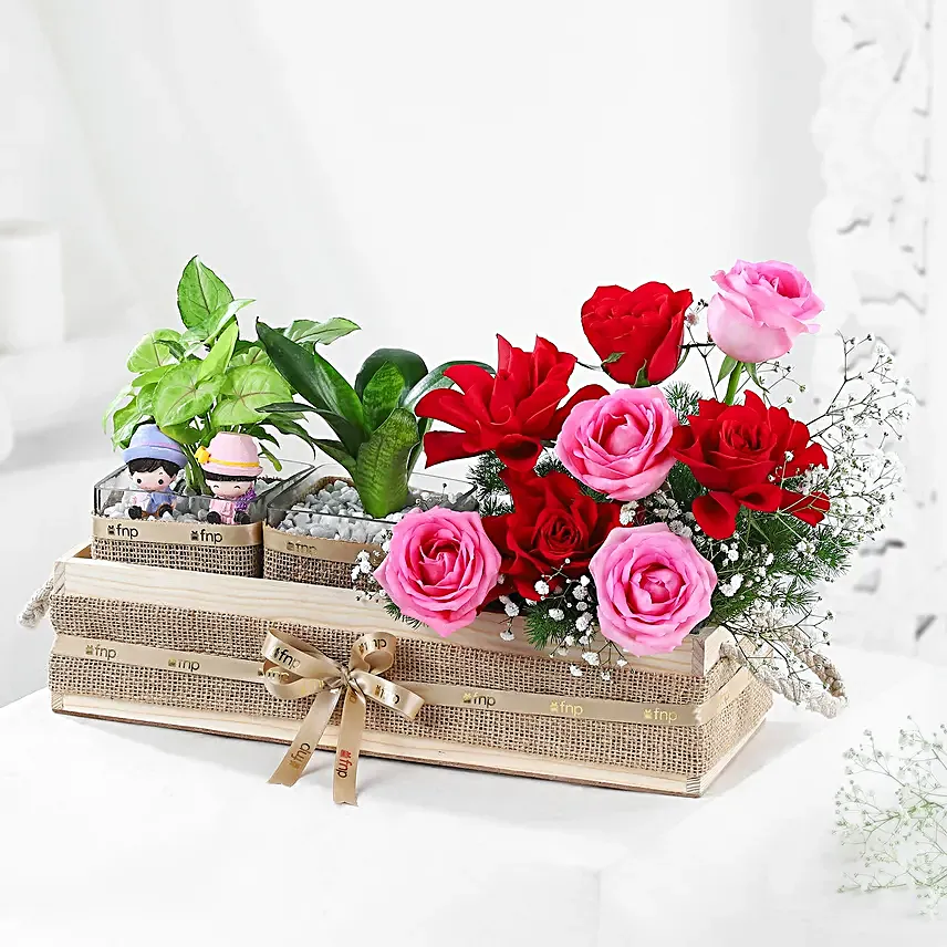 Serenade of Roses N Plants