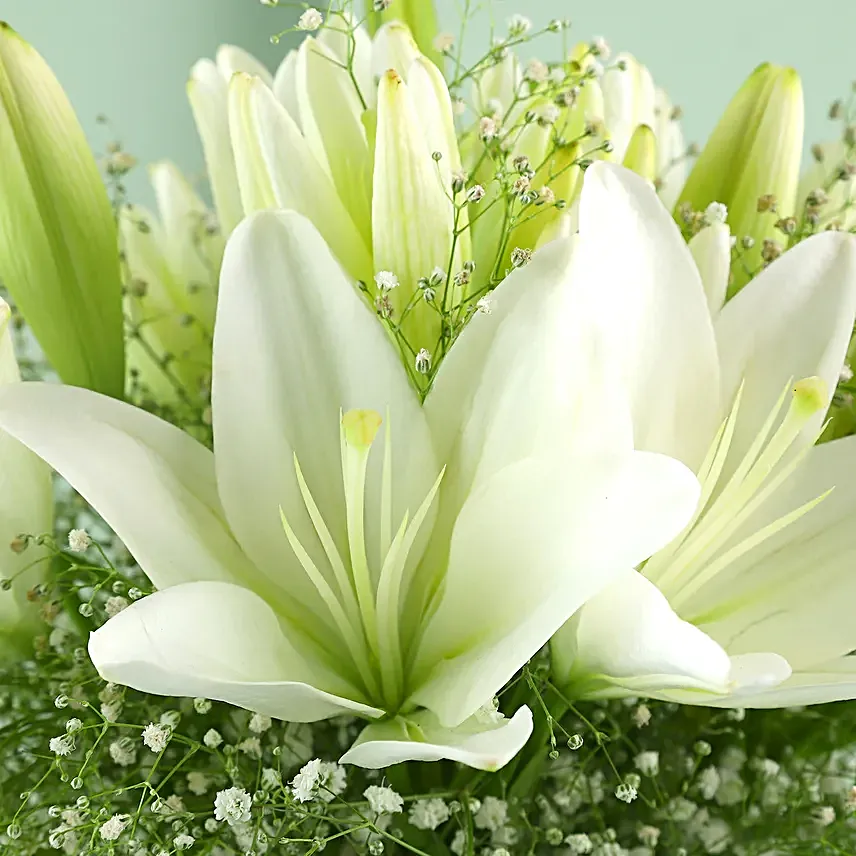 Serene Lilies With Guitarist Symphony Gift 10 to 15 Min