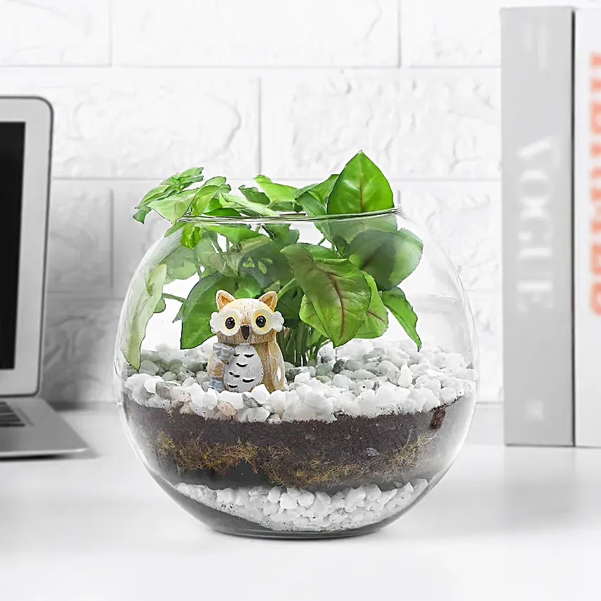 Serene Syngonium in Glass Vase
