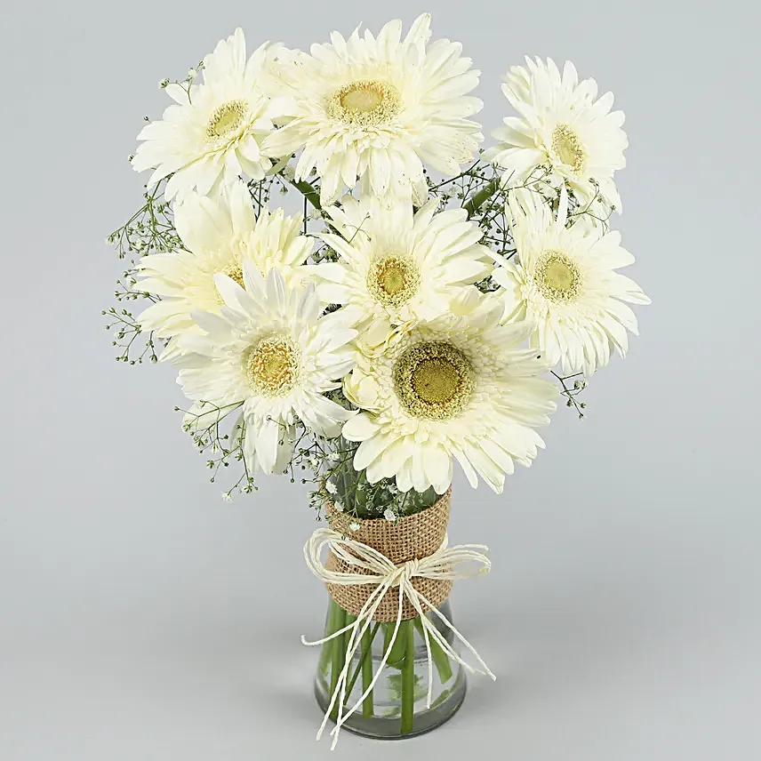 Serene White Gerbera Vase