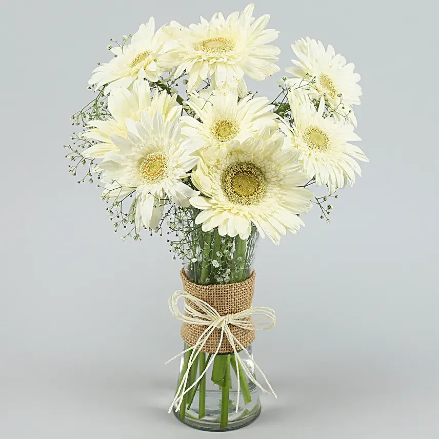 Serene White Gerbera Vase