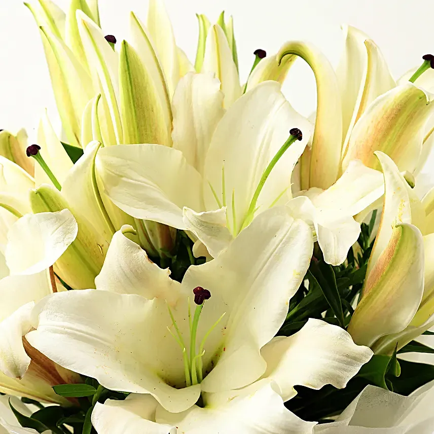 Online Lily Flowers