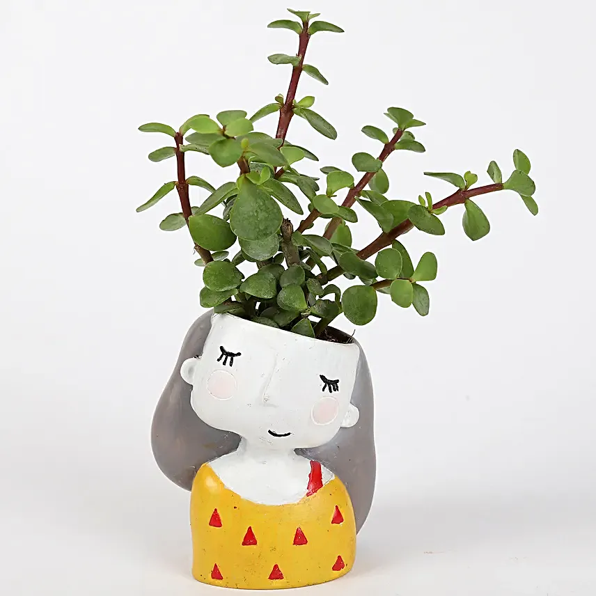 combo of 2 indoor plant for valentine day