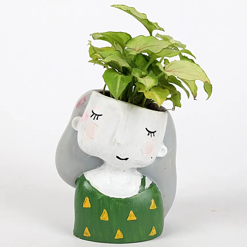 Set Of 3 Green Plants In Cute Girl Pots