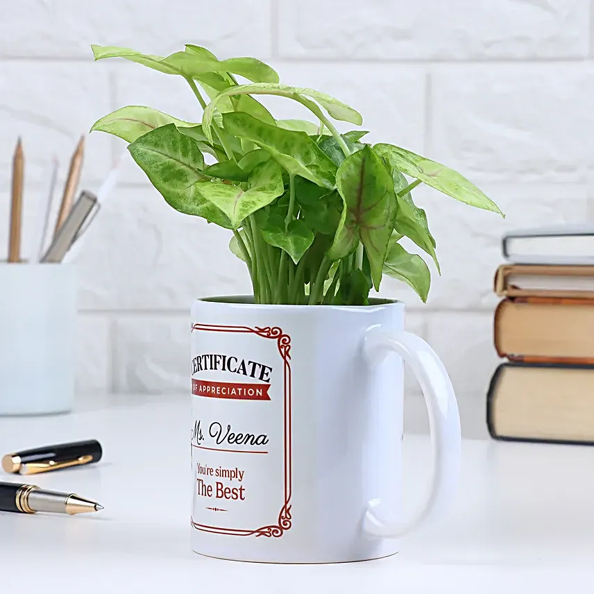 Simply Best Syngonium Teachers Day Mug