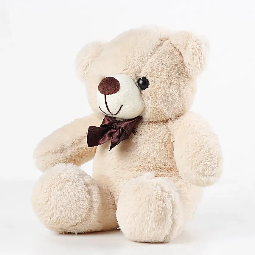Smokey Bear 9Inch