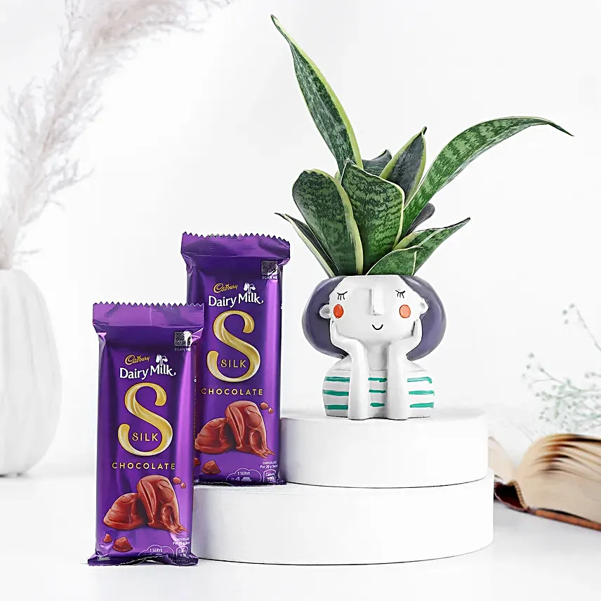 Snakeskin Sansevieria in Resin Pot & Silk Chocolates