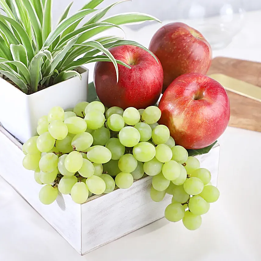Spider Plant and Fresh Fruits Symphony