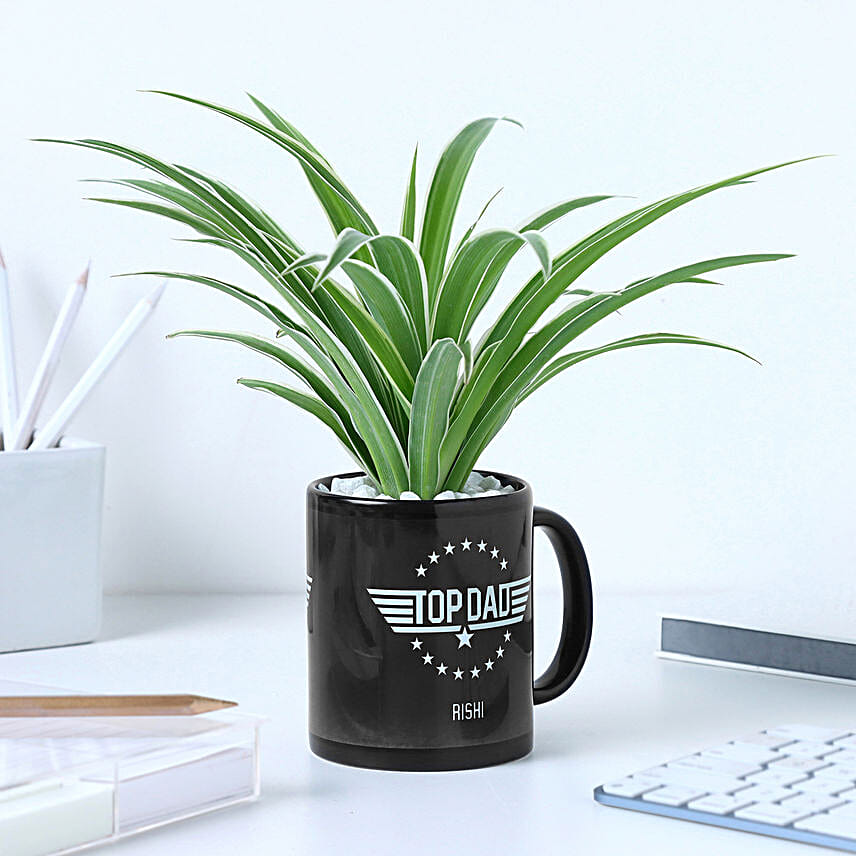 Spider Plant Personalised Green Oasis