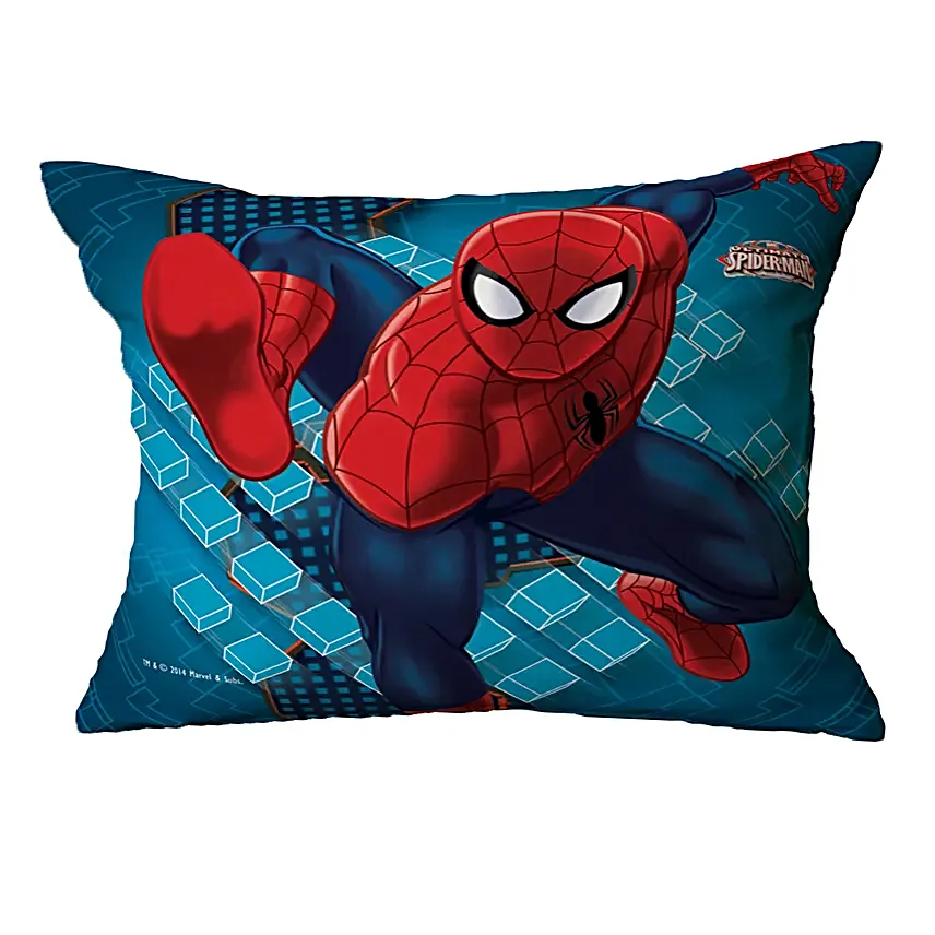 Spiderman Special Cushion Gift