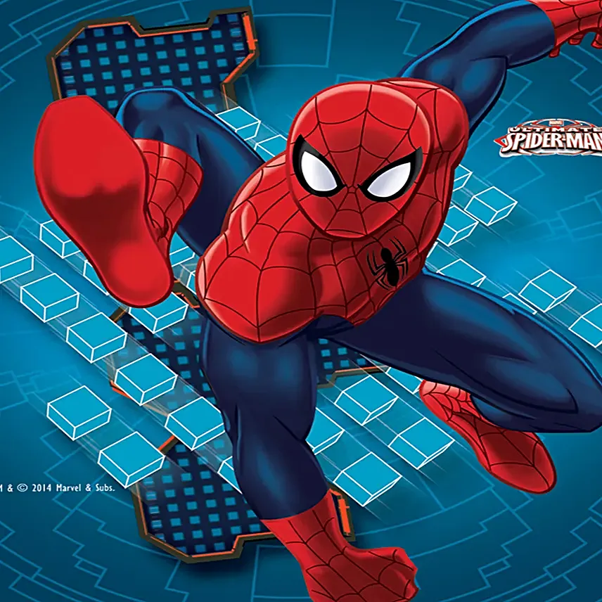 Spiderman Special Cushion Gift