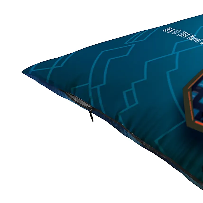 Spiderman Special Cushion Gift