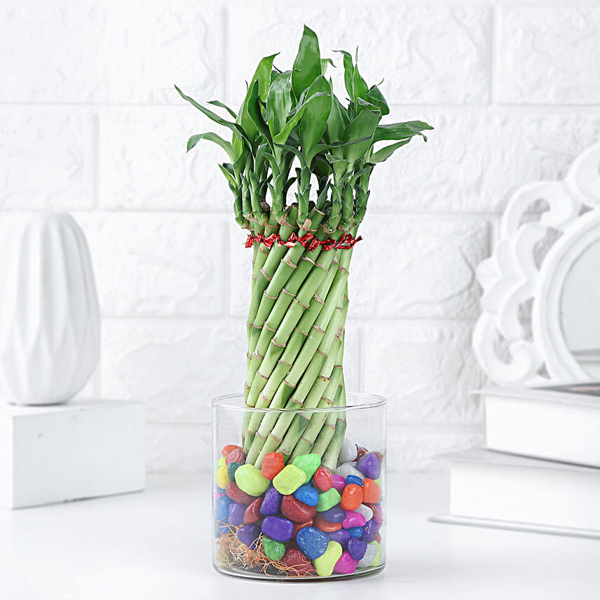Spiral Bamboo Blessings