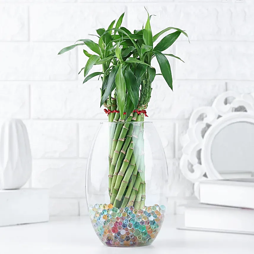 Spiral Bamboo Gift