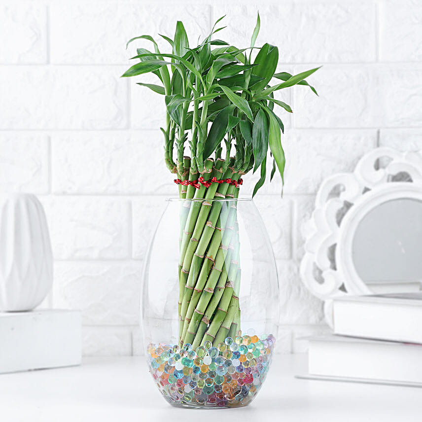 Spiral Bamboo Gift