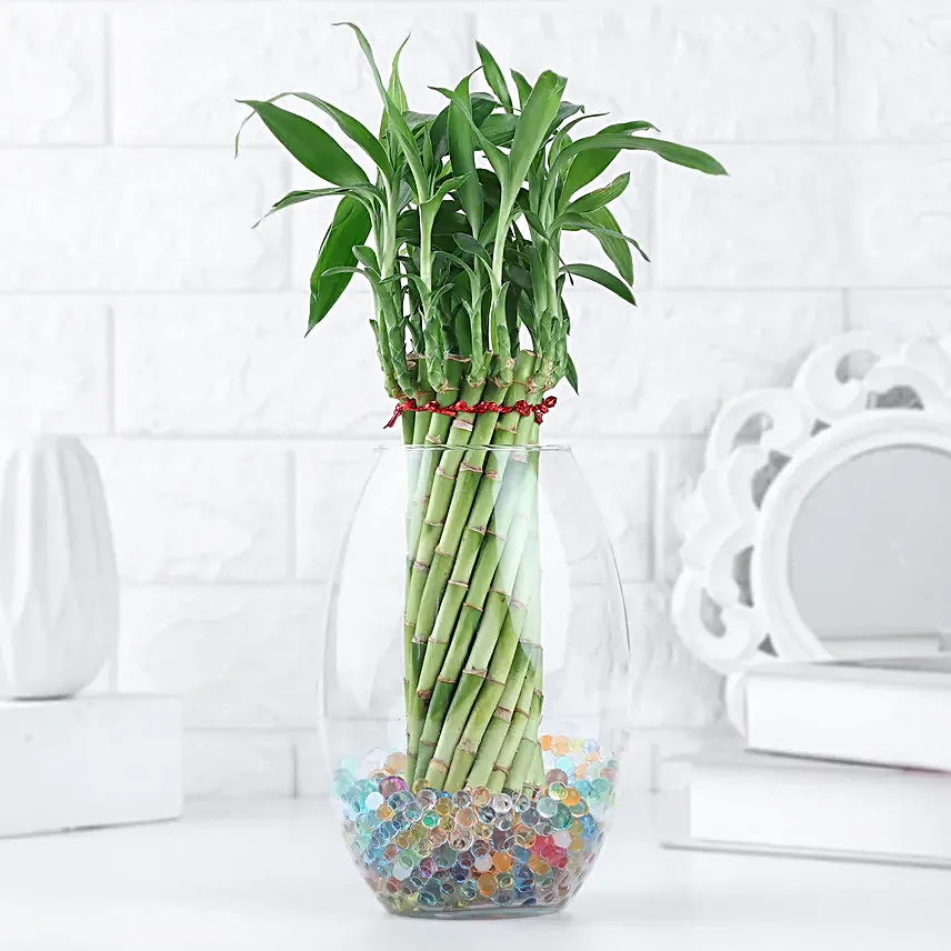 Spiral Bamboo Gift