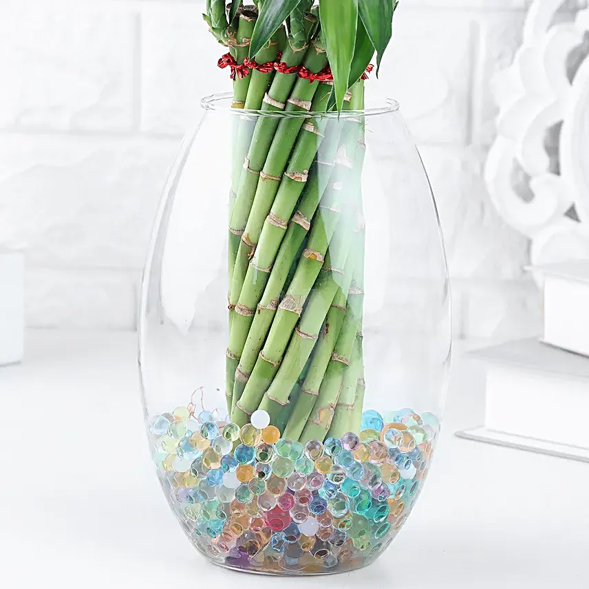 Spiral Bamboo Gift