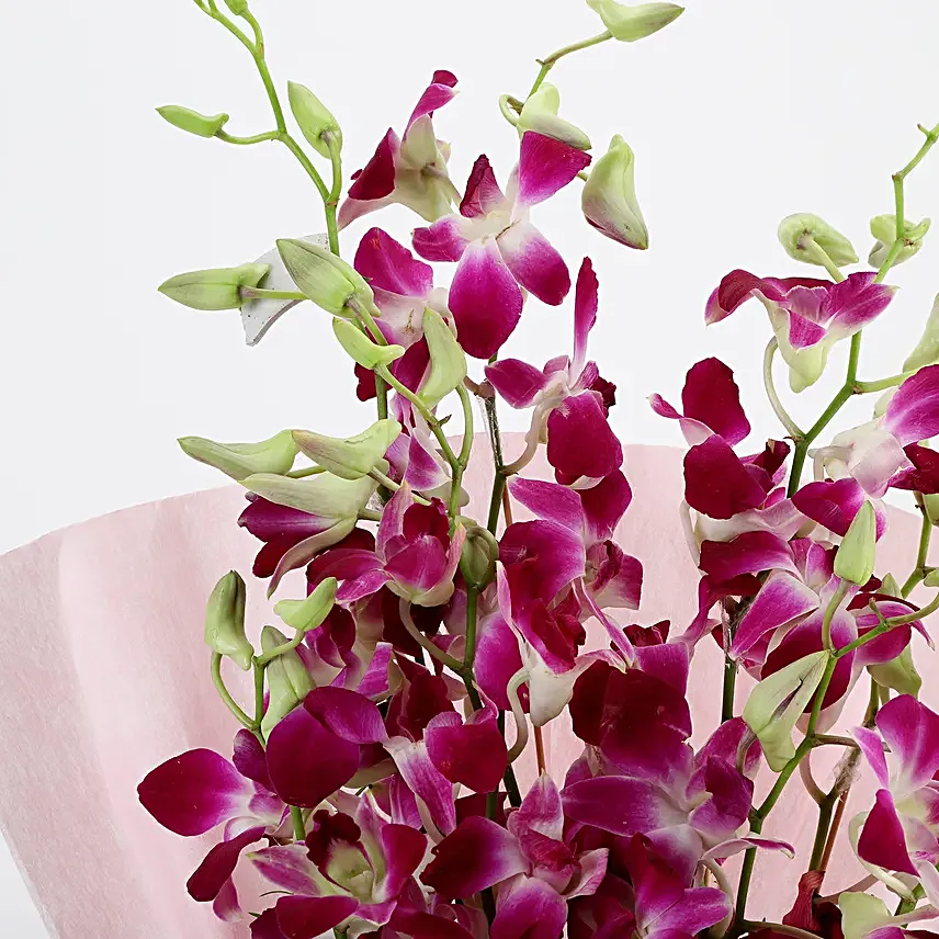 Bunch of 6 purple orchids