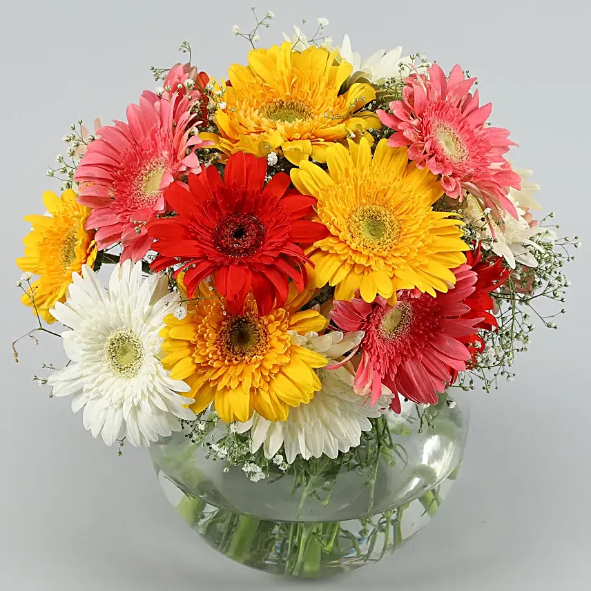 Spring Colours Vase N Luscious Cake