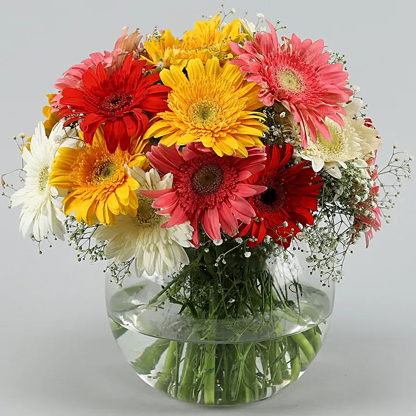Spring Colours Vase N Luscious Cake