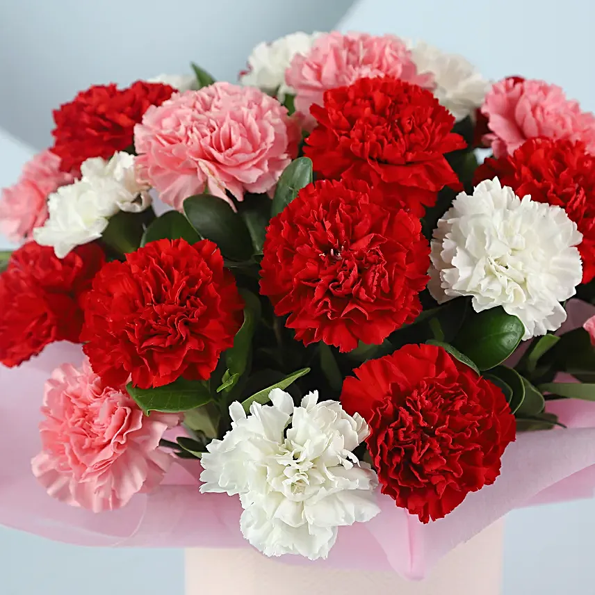 Spring Love Mixed Carnations Pink Box