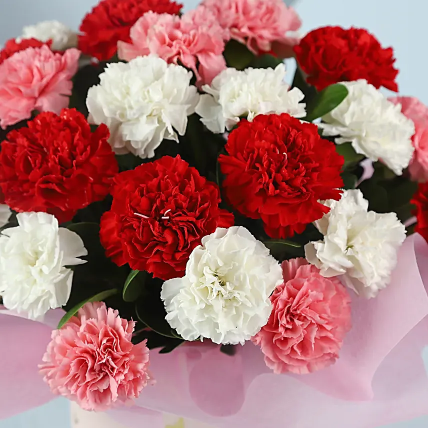 Spring Love Mixed Carnations Pink Box