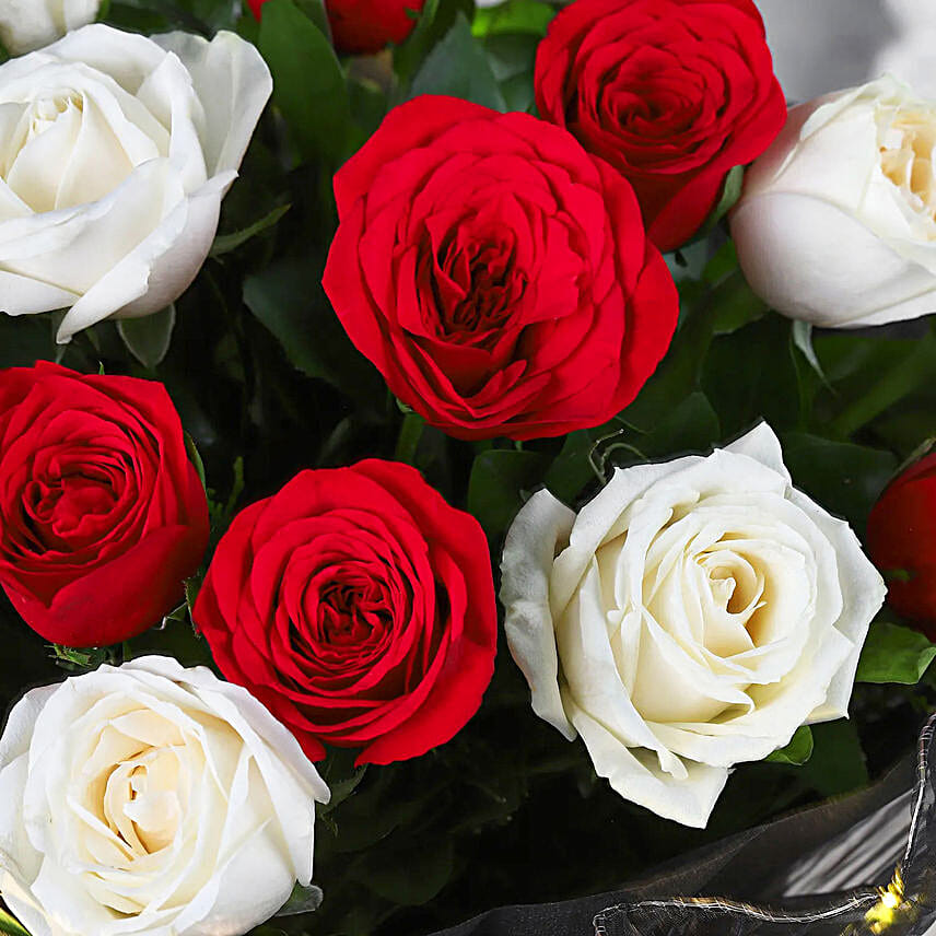 Starry Night Romance Roses