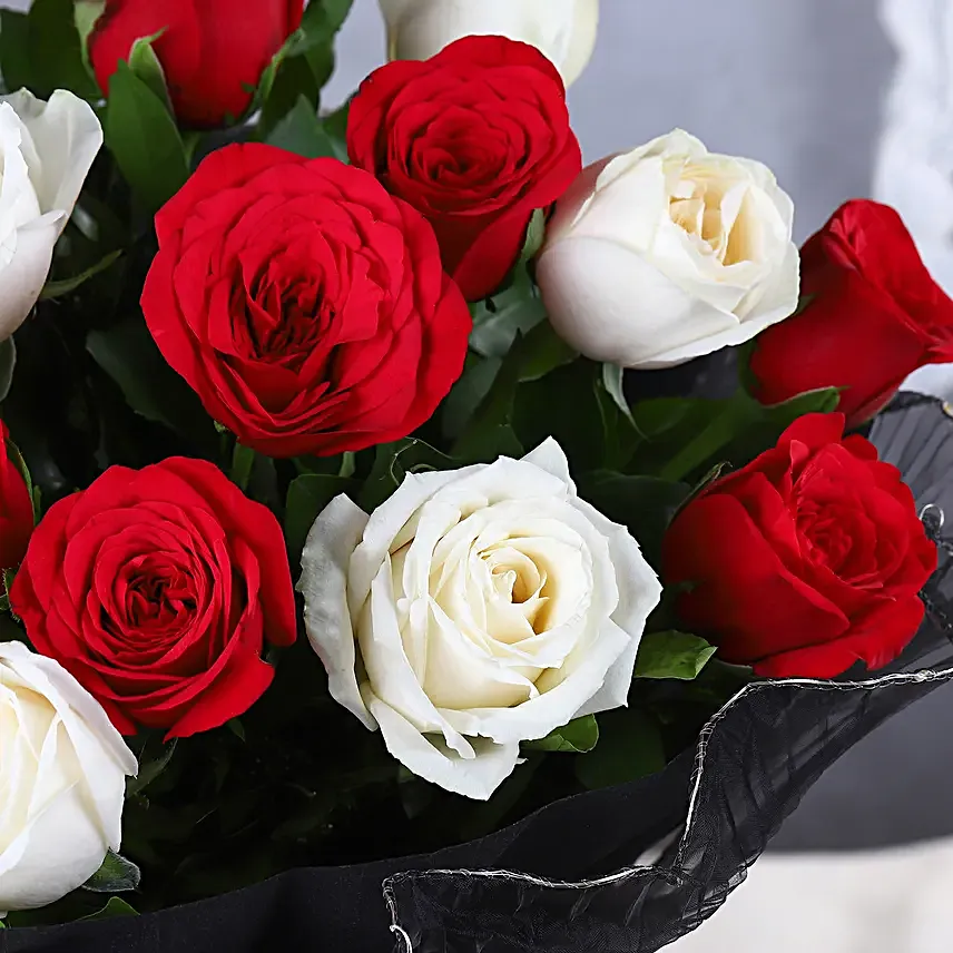 Starry Night Romance Roses