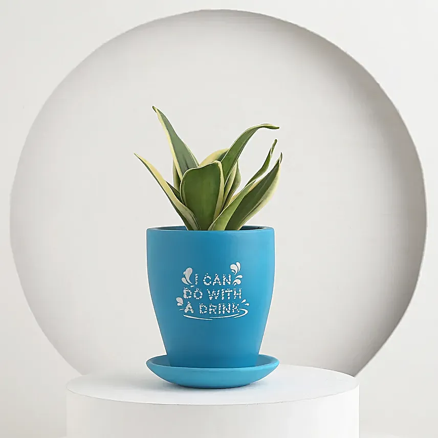 Summer Delight For Mom Gift Pot