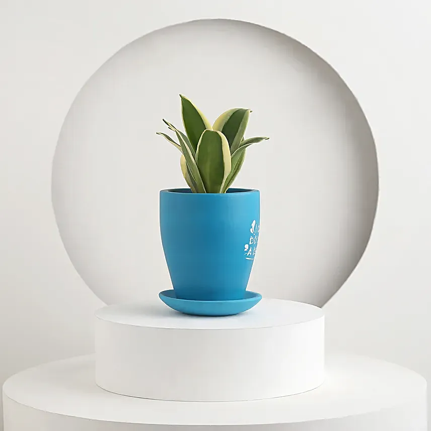 Summer Delight For Mom Gift Pot