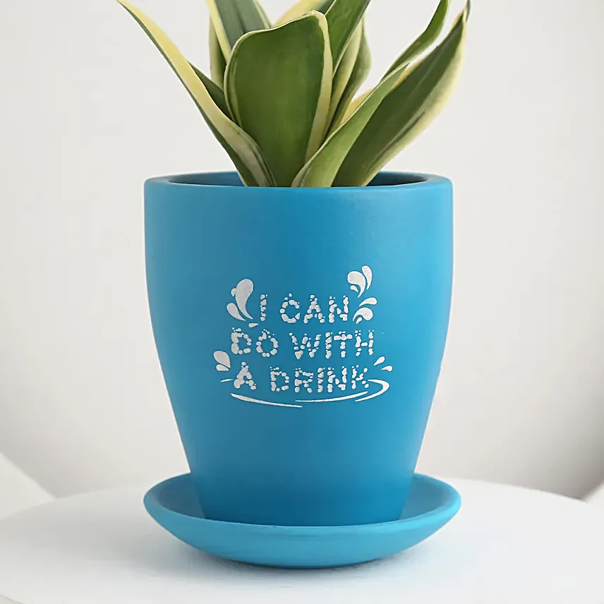 Summer Delight For Mom Gift Pot