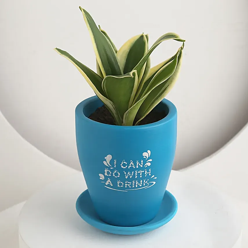 Summer Delight For Mom Gift Pot