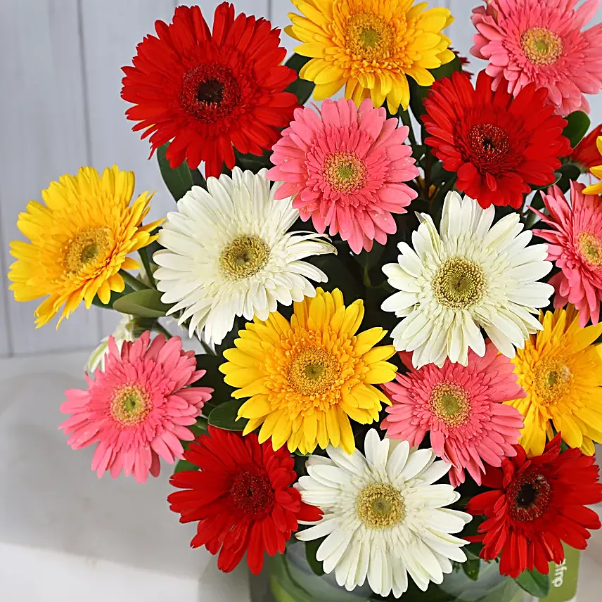 Summery Gerbera Blooming Bouquet