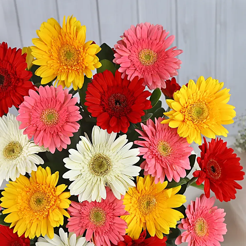 Summery Gerbera Blooming Bouquet