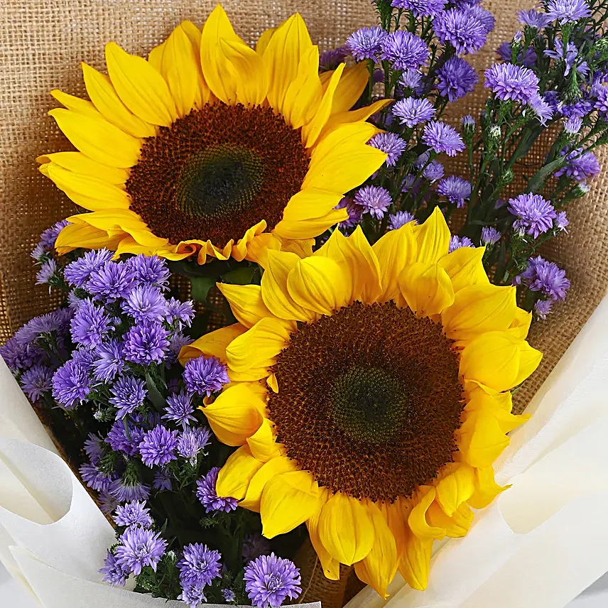 Sunflower Dream