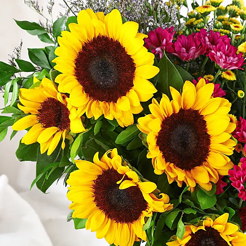Sunflower Splendor