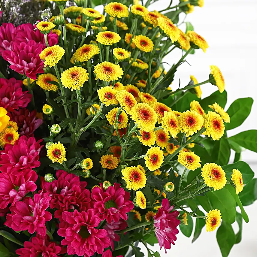 Sunflower Splendor