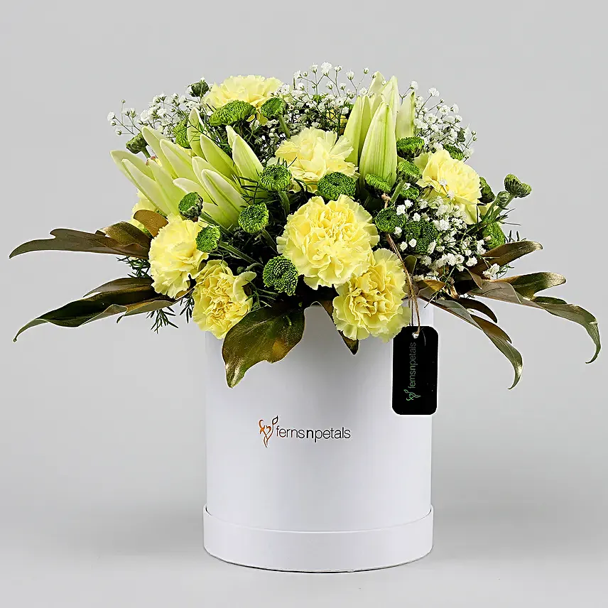Online Daisies And Carnations
