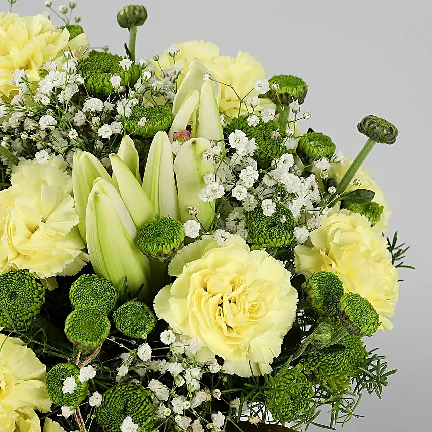 Online Daisies And Carnations