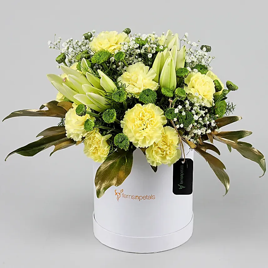 Online Daisies And Carnations