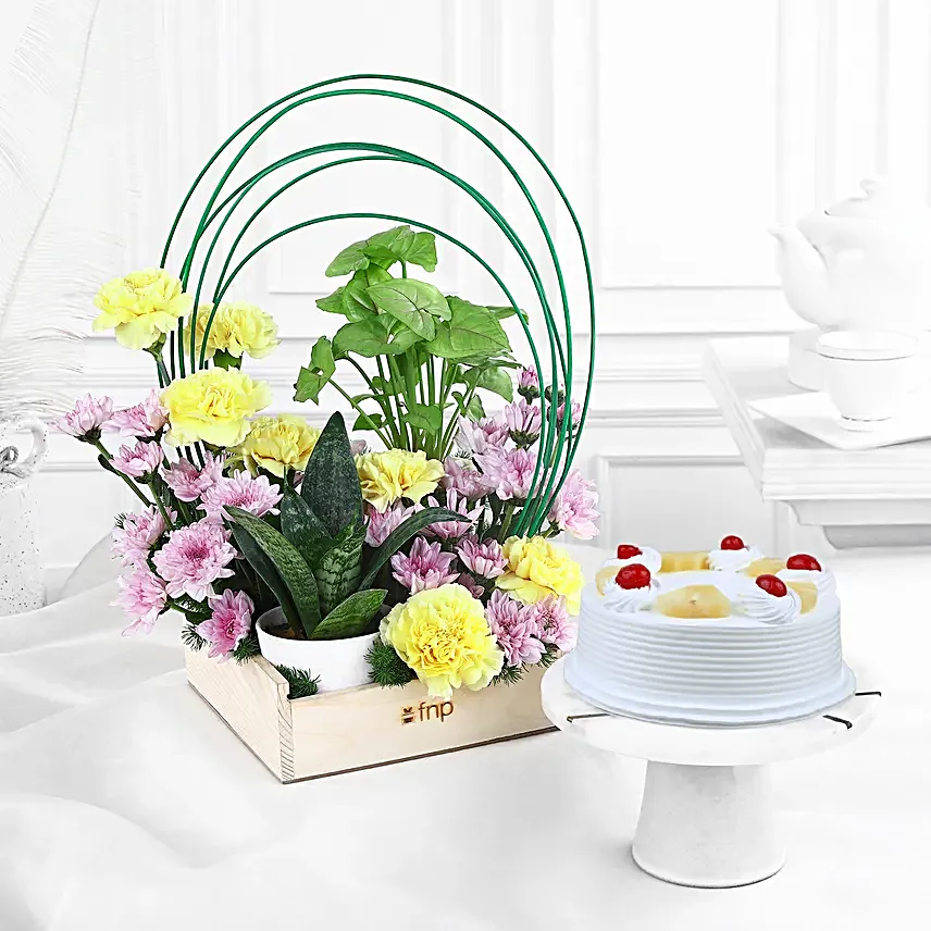 Sunshine Harmony N Pineapple Cream Cake Combo