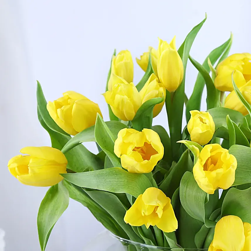 Sunshine Whispers of Tulip