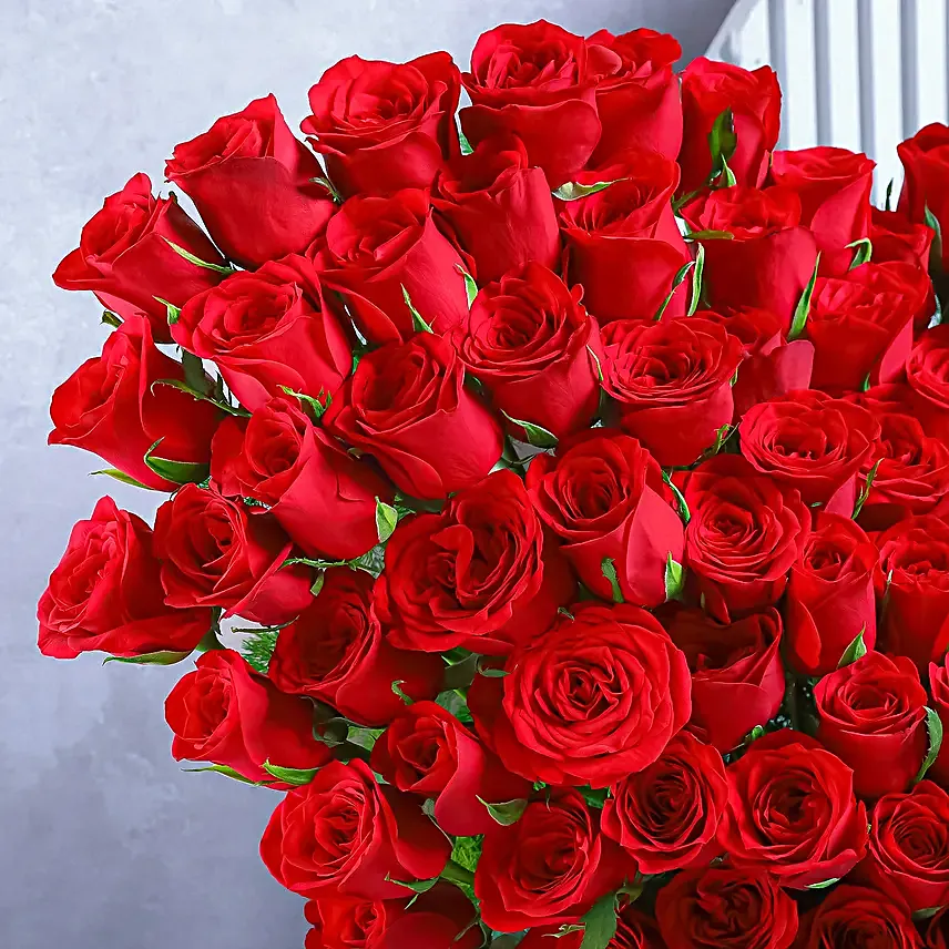 Symphony of Rose