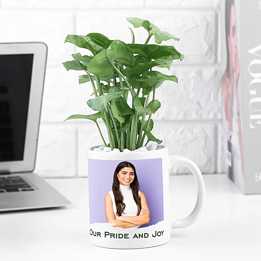 Syngonium Blooming Duo for Cherished Daughter